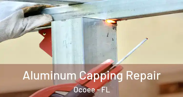 Aluminum Capping Repair Ocoee - FL