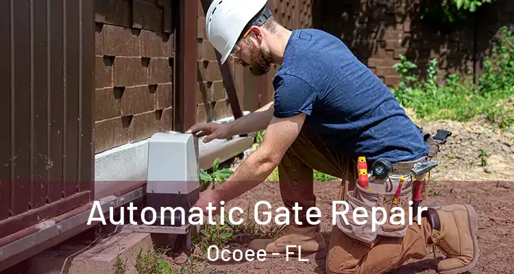Automatic Gate Repair Ocoee - FL
