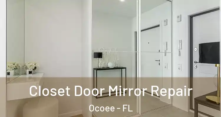 Closet Door Mirror Repair Ocoee - FL