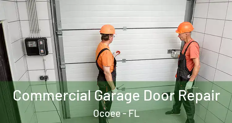 Commercial Garage Door Repair Ocoee - FL