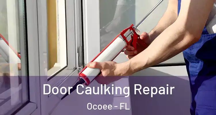 Door Caulking Repair Ocoee - FL