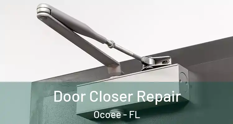 Door Closer Repair Ocoee - FL