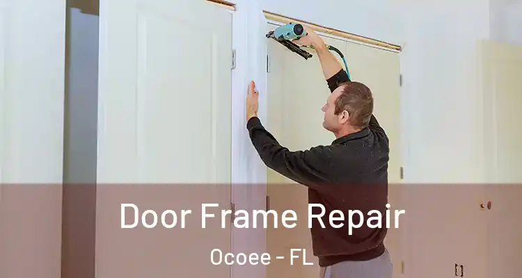 Door Frame Repair Ocoee - FL