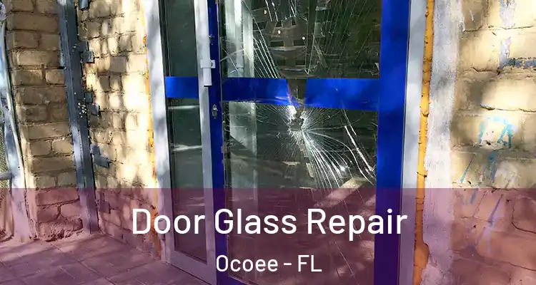 Door Glass Repair Ocoee - FL
