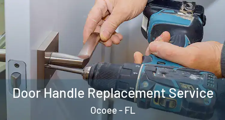  Door Handle Replacement Service Ocoee - FL