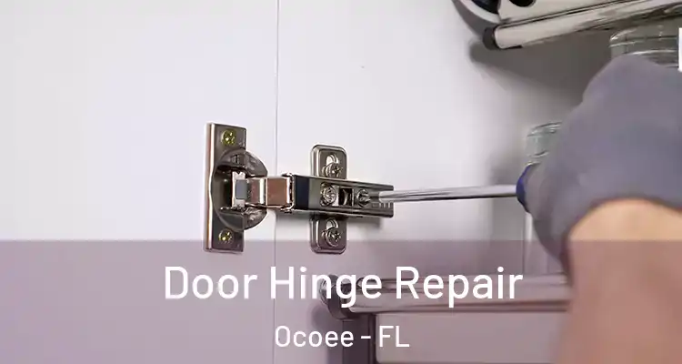 Door Hinge Repair Ocoee - FL