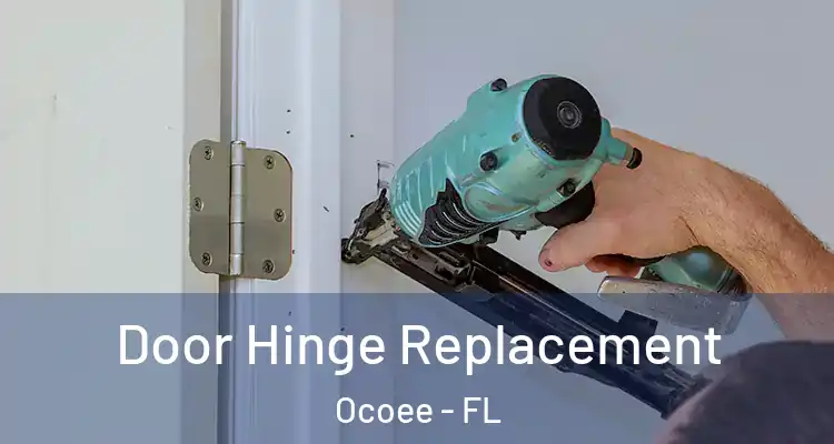 Door Hinge Replacement Ocoee - FL