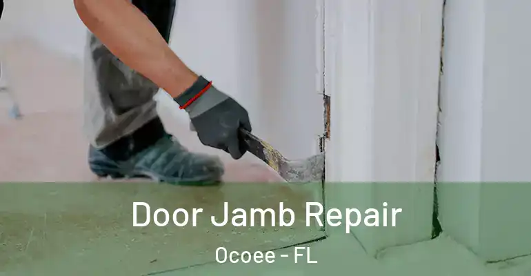 Door Jamb Repair Ocoee - FL