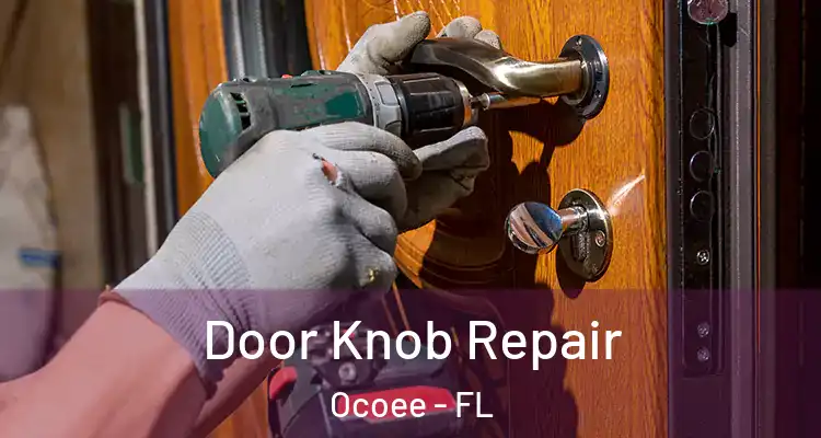  Door Knob Repair Ocoee - FL