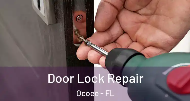Door Lock Repair Ocoee - FL