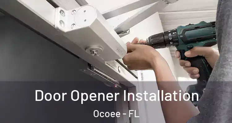 Door Opener Installation Ocoee - FL