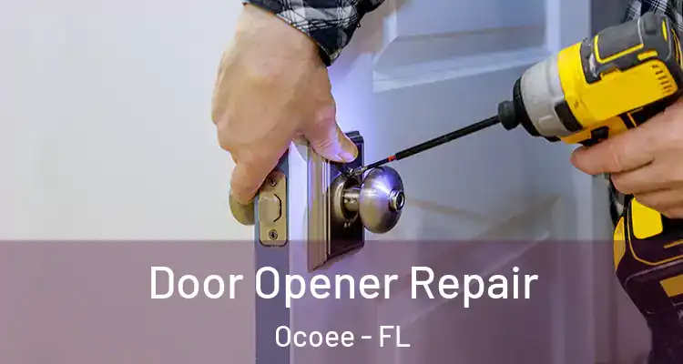 Door Opener Repair Ocoee - FL