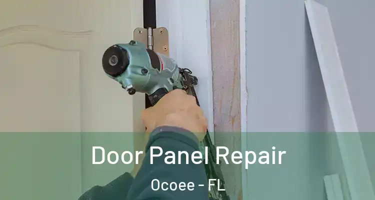  Door Panel Repair Ocoee - FL