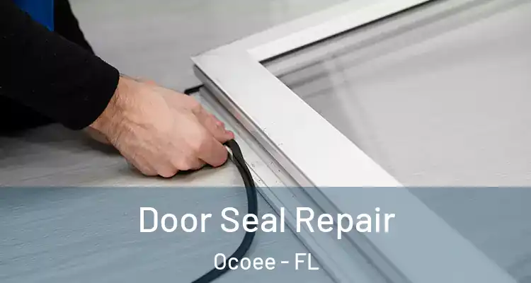 Door Seal Repair Ocoee - FL