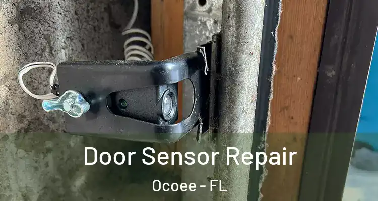Door Sensor Repair Ocoee - FL