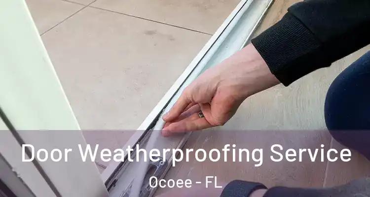 Door Weatherproofing Service Ocoee - FL