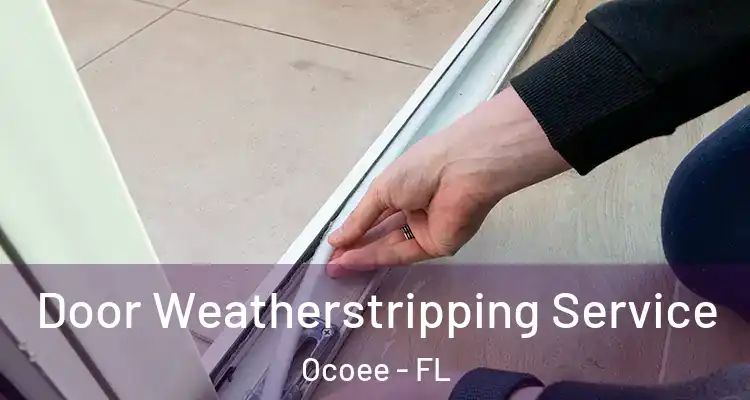 Door Weatherstripping Service Ocoee - FL