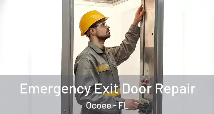 Emergency Exit Door Repair Ocoee - FL