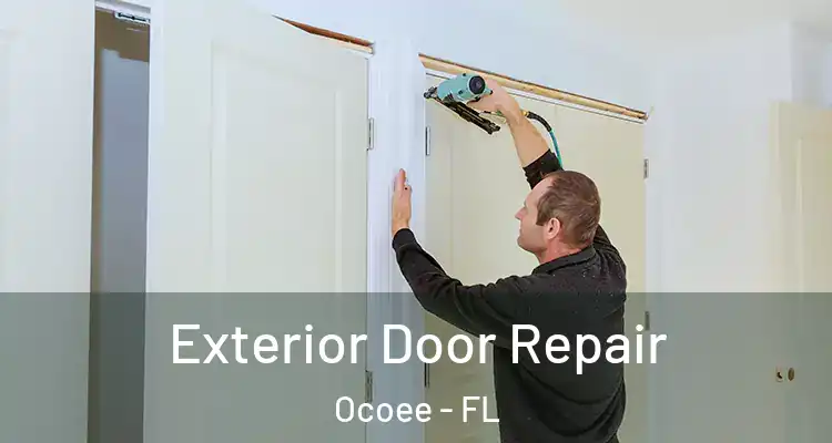 Exterior Door Repair Ocoee - FL