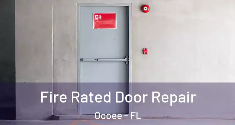 Fire Rated Door Repair Ocoee - FL
