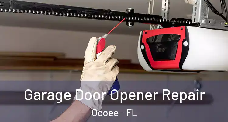 Garage Door Opener Repair Ocoee - FL