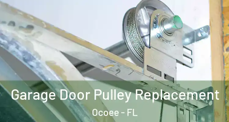 Garage Door Pulley Replacement Ocoee - FL