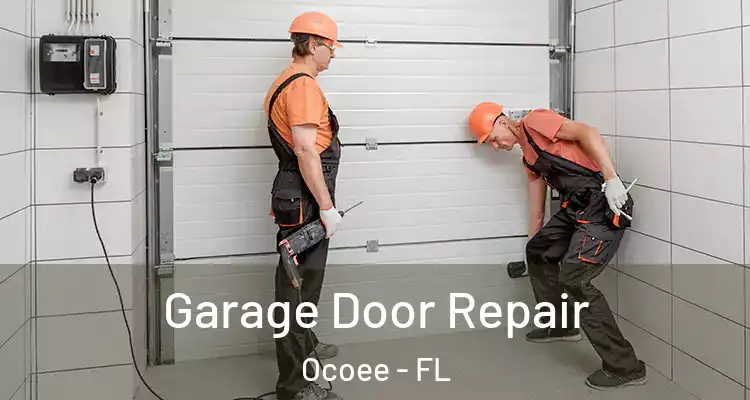 Garage Door Repair Ocoee - FL