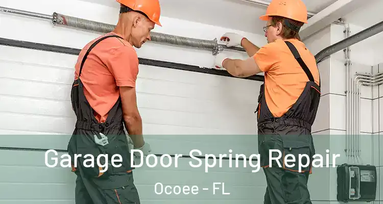 Garage Door Spring Repair Ocoee - FL