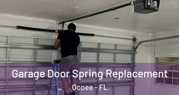 Garage Door Spring Replacement Ocoee - FL