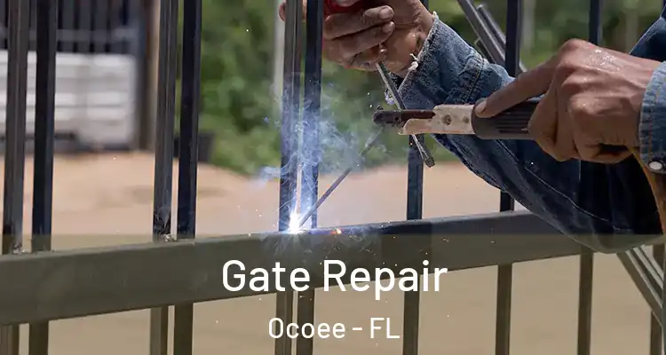 Gate Repair Ocoee - FL