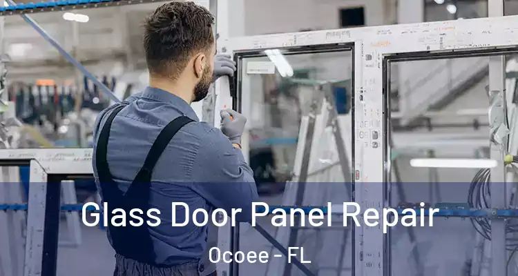 Glass Door Panel Repair Ocoee - FL