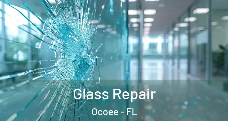 Glass Repair Ocoee - FL