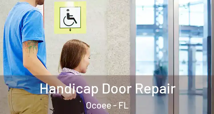 Handicap Door Repair Ocoee - FL