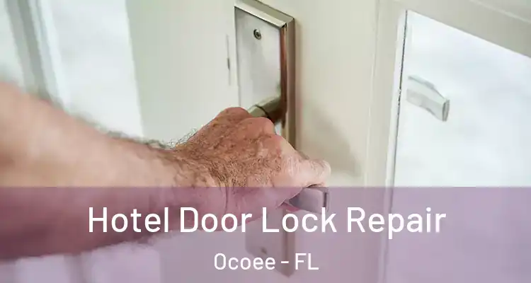 Hotel Door Lock Repair Ocoee - FL