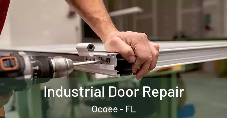 Industrial Door Repair Ocoee - FL