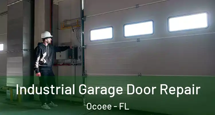 Industrial Garage Door Repair Ocoee - FL