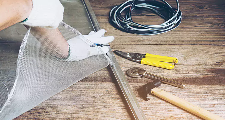 Our Pool Enclosure Mesh Repair Services in Ocoee, FL