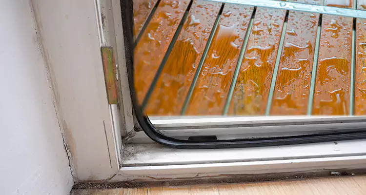 Water Leaking Wooden Patio Doors Repair in Ocoee, FL