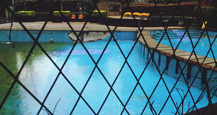 Lanai Screen Repair in Ocoee, FL