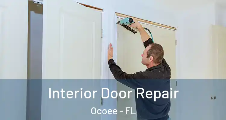 Interior Door Repair Ocoee - FL