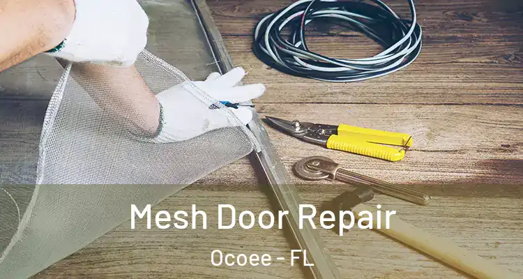 Mesh Door Repair Ocoee - FL