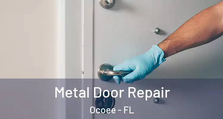 Metal Door Repair Ocoee - FL