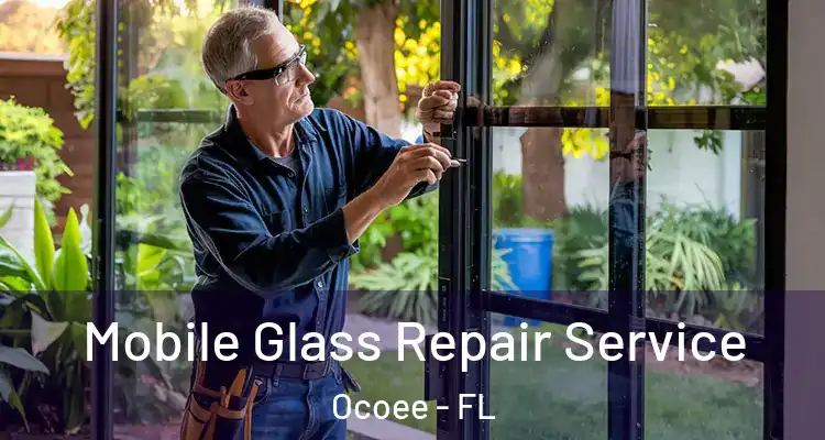 Mobile Glass Repair Service Ocoee - FL