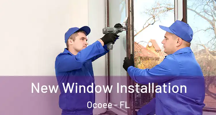  New Window Installation Ocoee - FL
