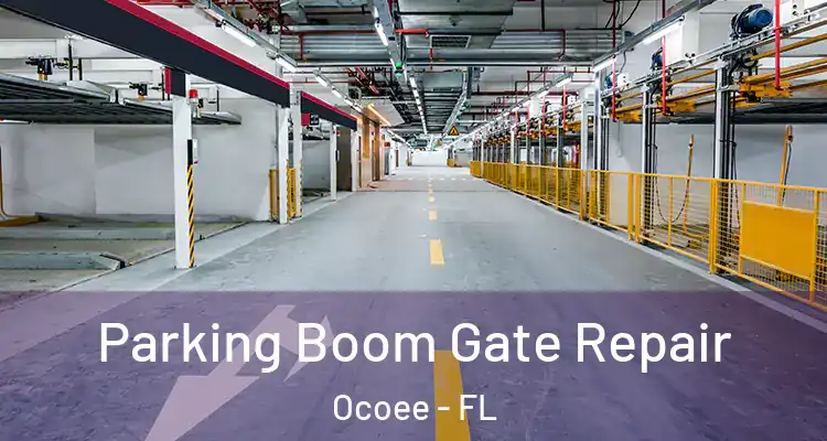 Parking Boom Gate Repair Ocoee - FL