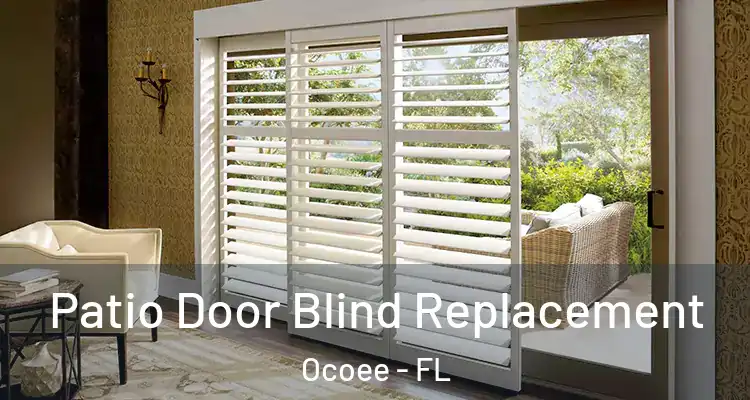 Patio Door Blind Replacement Ocoee - FL