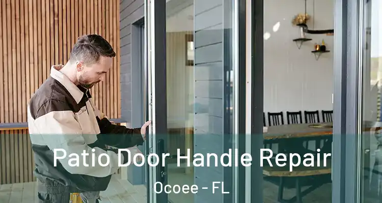 Patio Door Handle Repair Ocoee - FL