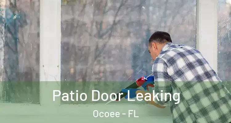 Patio Door Leaking Ocoee - FL