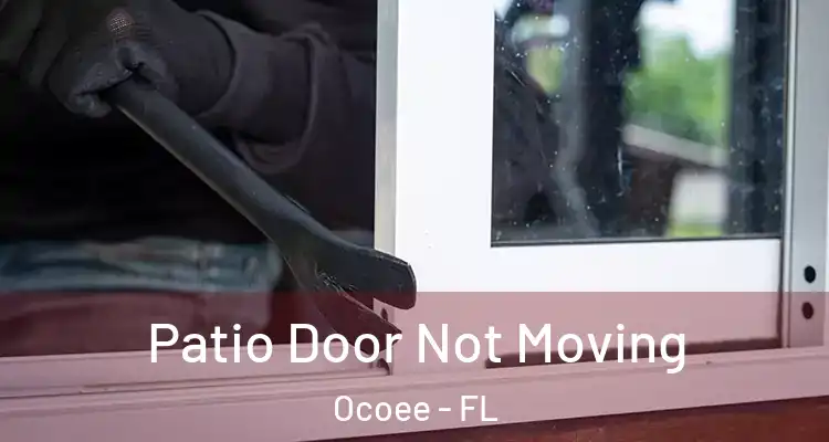 Patio Door Not Moving Ocoee - FL