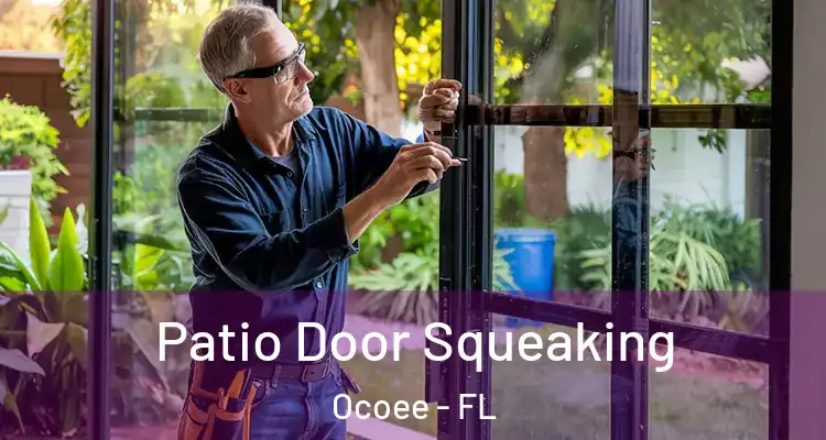 Patio Door Squeaking Ocoee - FL